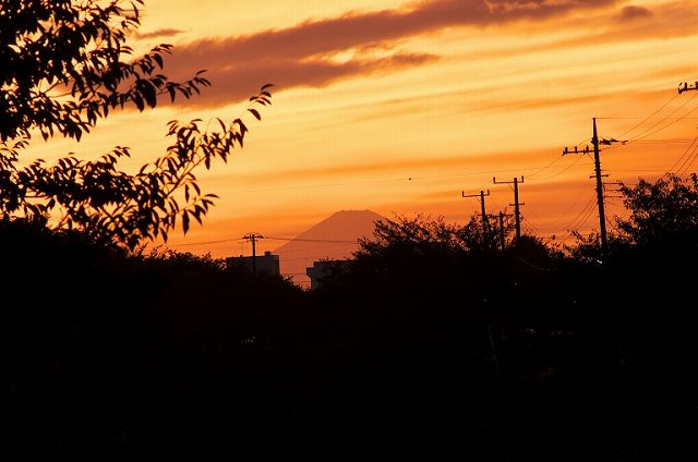 DSC_3270